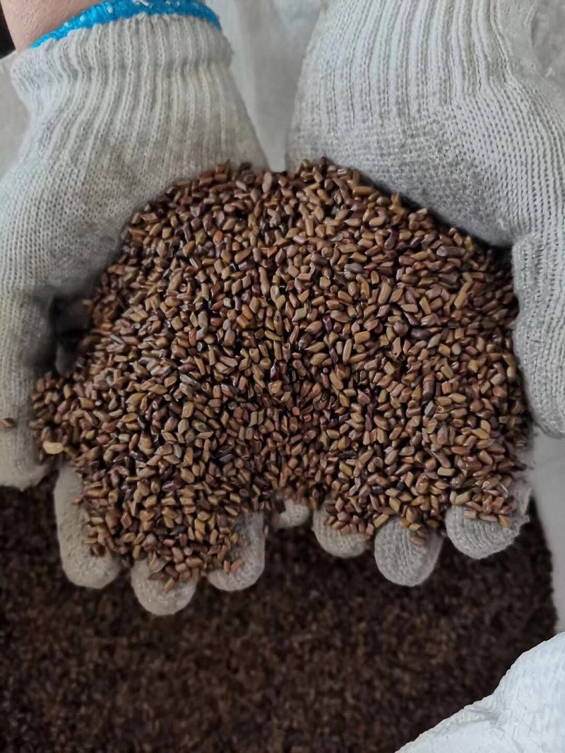 寰俊鍥剧墖_201912131257571.jpg 寰俊鍥剧墖_201912131257571.jpg